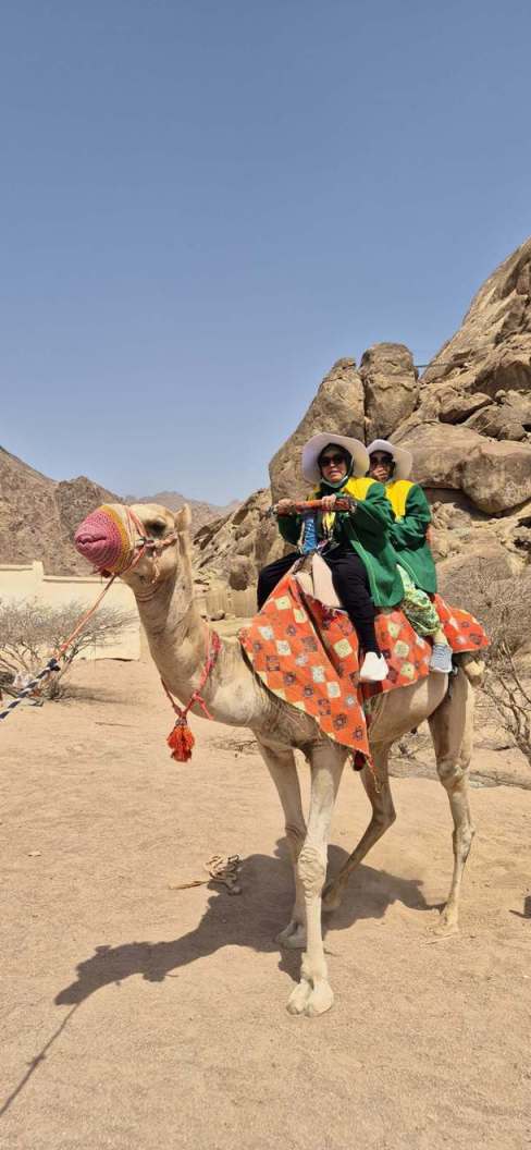 HAJI REGULER 2025 KLOTER 12 - Foto 318